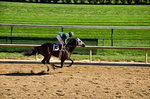 Churchill Downs Horse Racing & Derby Museum